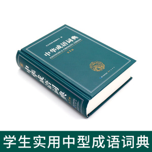 大开本 成语词典 正版中小学 小学生专用中华成语大词典全功能大全新华 中学生儿童高中生高中初中多功能常用彩图版彩色本