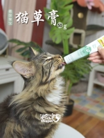 28 tháng 12, 19 | Đức Chunbao Cat Grass Cream Vitamin Active Cat Grass Cream Cream Cream 50g - Cat / Dog Health bổ sung sữa cho mèo 3 tháng tuổi