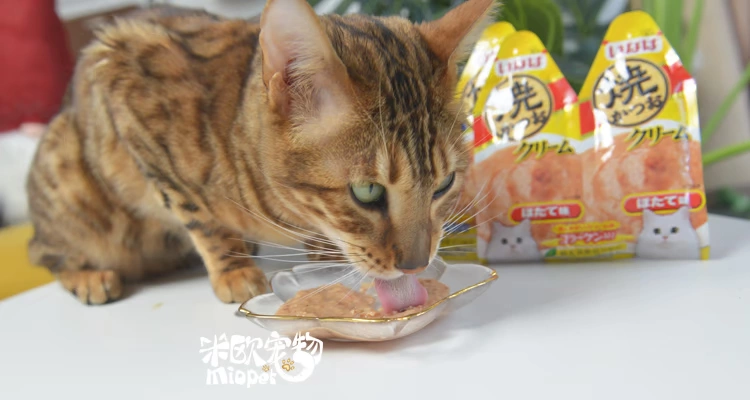 Mio Pet | Inabao CIAO Gold Hương vị dinh dưỡng Paste Cat Liquid Snacks Cat Wet Food 2 Pack 60g