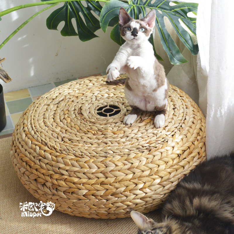 Mio pet Tiantian cat Natural banana leaf tire futon cat litter cat household cat toy cat scratching board cat bed