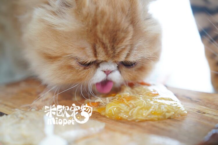 Mio Pet N nghịch ngợm Wanpy Fresh Pack Cat Snack Cat Thức ăn khô 80g / 100g Cat Bibimbap Đối tác minino 1.3 kg