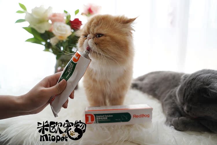 Mio Pet Red Dog RedDog Hair Cream 120g Cat Đi đến Hair Ball điều hòa Kem dinh dưỡng đường tiêu hóa - Cat / Dog Health bổ sung sữa cho mèo mẹ mới đẻ