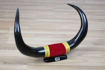 Yak horn diagonal ornaments town house horn buffalo horn ornaments home decoration living room office desktop horn ornaments