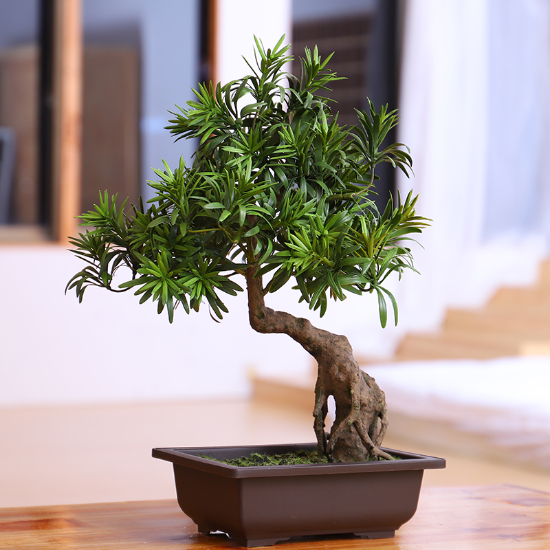 Chinese simulation green plant bonsai Arhat pine Welcome pine decoration placement green plant living room conference room placement bonsai