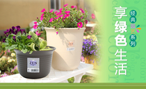 Clearance Alice flowerpot ZEN long bowl Resin flowerpot tray Deep round basin 5 6 7 8 9 10 meters