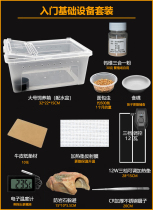 BAO WEN gecko breeding package lizard reptile pet supplies horned frog turtle heating calcium powder vitamin feeding box equipment