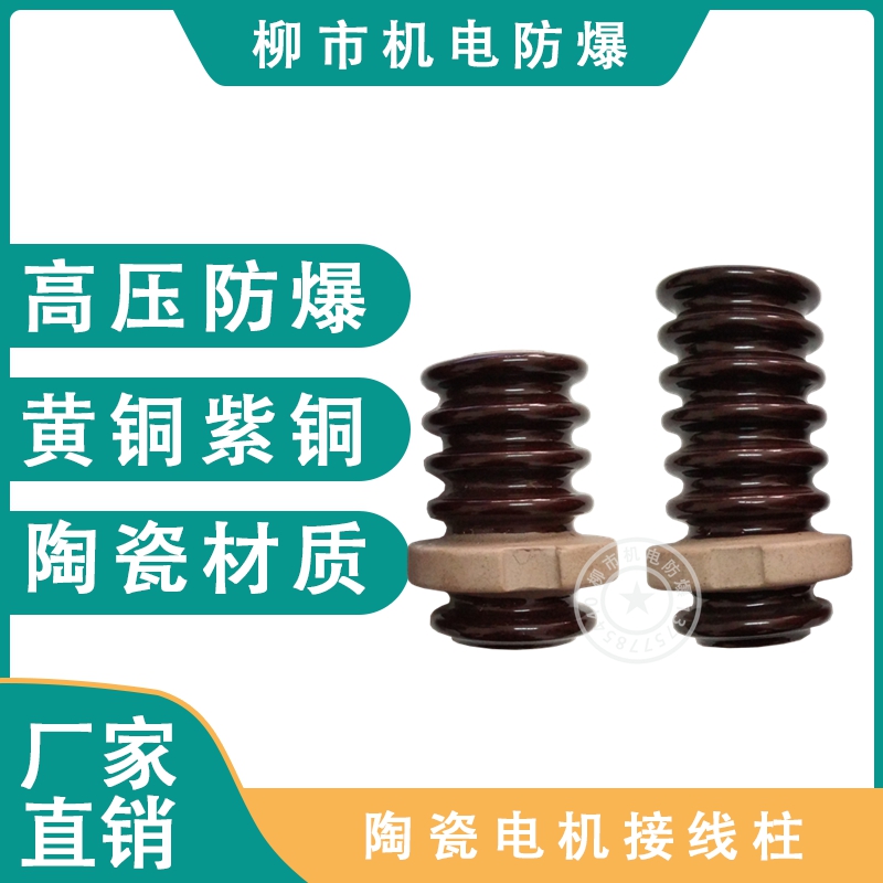 6KV 10kv ceramic high-pressure motor explosion-proof wiring post square hole insulators mining and static 315KV