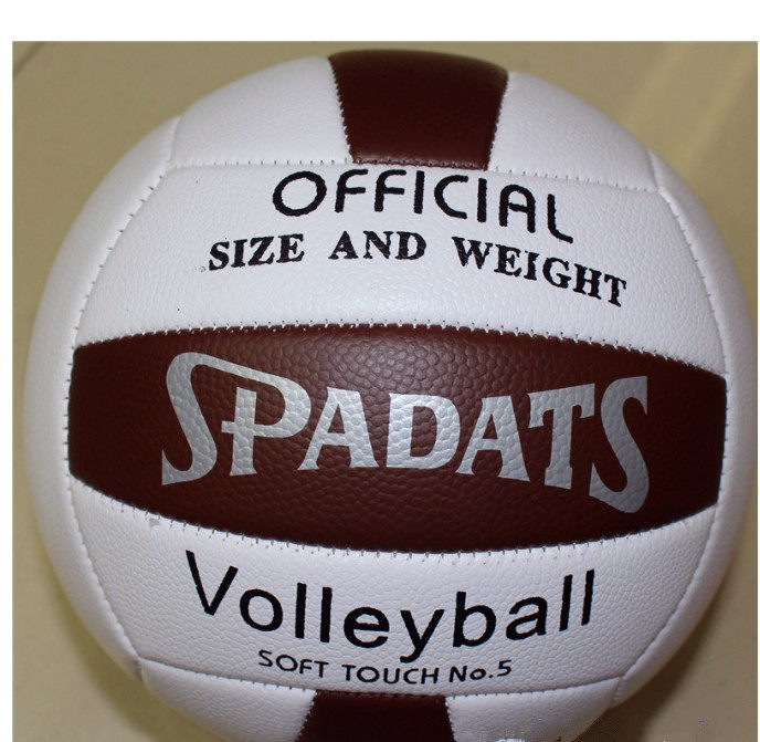 Ballon de volley-ball - Ref 2012580 Image 9