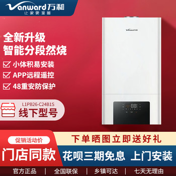 Wanhe Wall-Mounted Boiler C24/28B1S/C36B1/Y18B1S/Y24B1S/Y28B1S Gas Heating Dual-Purpose
