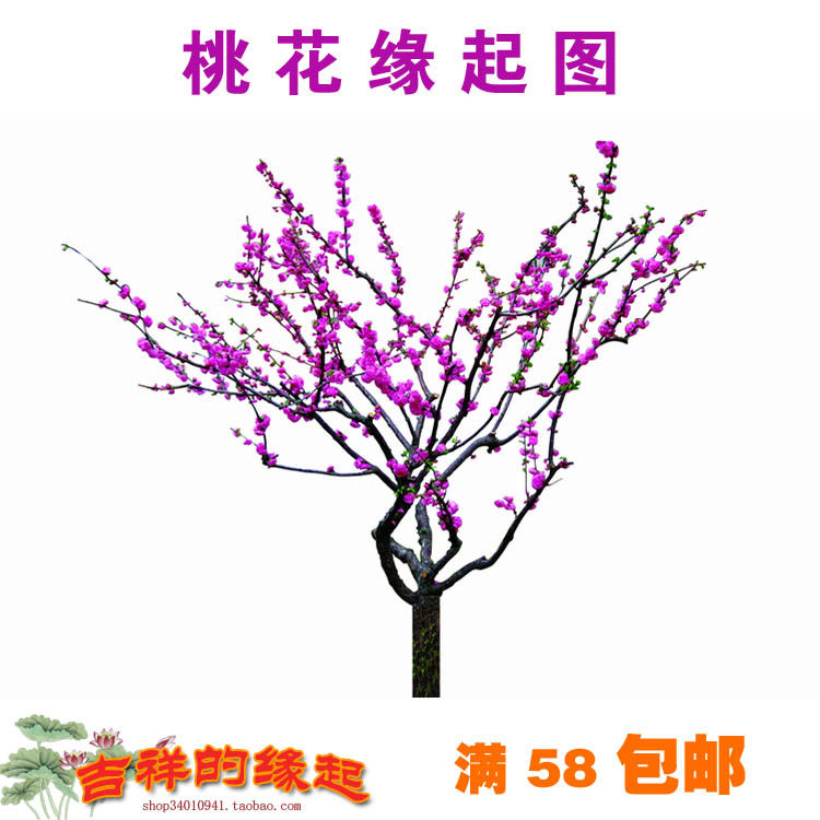 Peach blossom edge tug of positive marriage Peach Blossom Lotus Pond with a tug of light for the protection of the Mormon