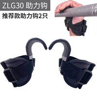 ZLG30 Help Help Recuded Model Help Hook 2