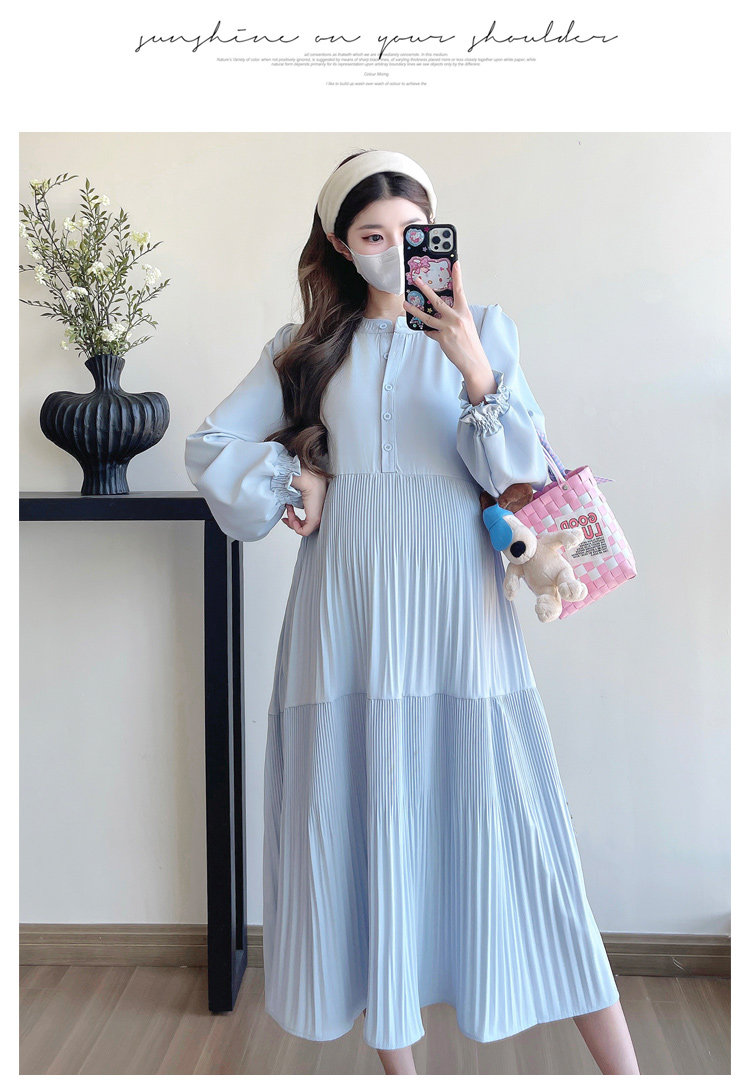 Maternity Wear 2026 New Autumn Style Loose Slimming Pleated Dress for Pregnant Mothers, High-End Nursing Long Dress — 18