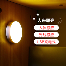 Sunshine lighting intelligent human body sensor light led starlight night light automatic light control corridor corridor for the whole house aisle