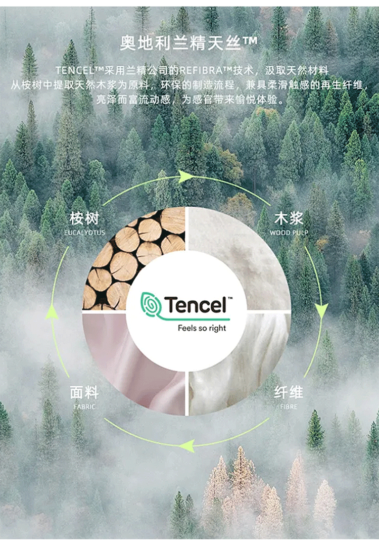 Комплект постельного белья 高级感a类200支兰精天丝四件套床单被套床笠款夏季轻奢风床上用品