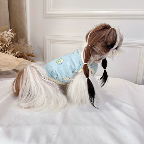 Кошка, собачья бумага -похожая на малзис плюшевый золотой мао ​​мао фанат Douma Douza