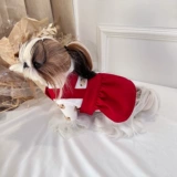 Домашние кошки и собачья юбка