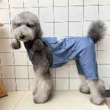 Петульная одежда образец образец плюшевый Барлема Фа Доу Золотой Мао Лиан Благи Брюки Модель