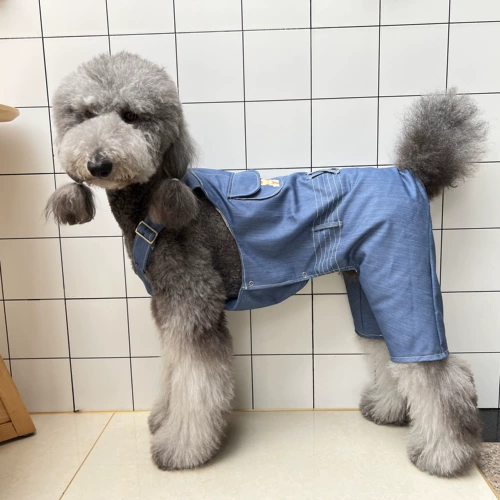 Петульная одежда образец образец плюшевый Барлема Фа Доу Золотой Мао Лиан Благи Брюки Модель