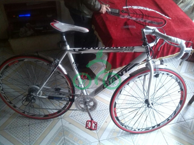 Sticker pour vélos - Ref 2279060 Image 21