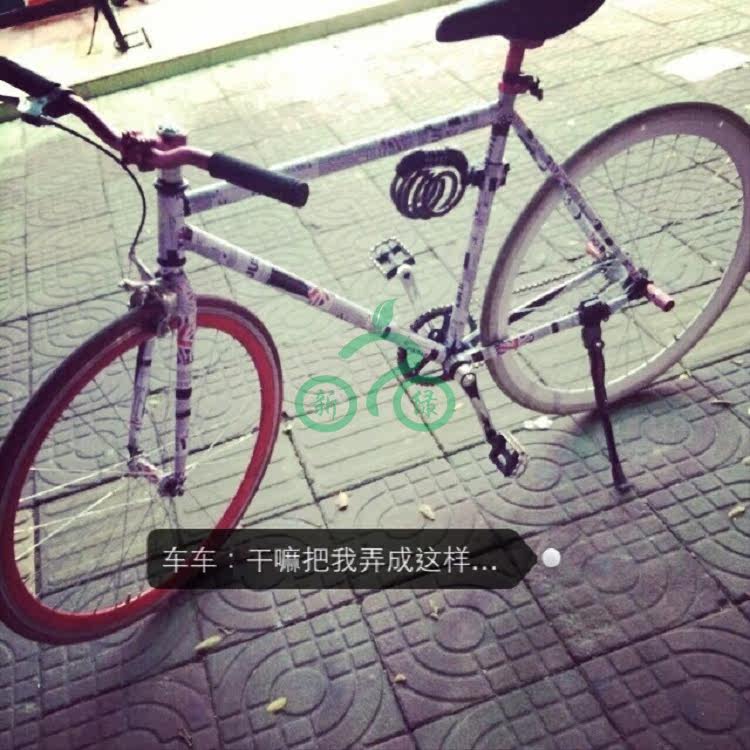 Sticker pour vélos - Ref 2280857 Image 9