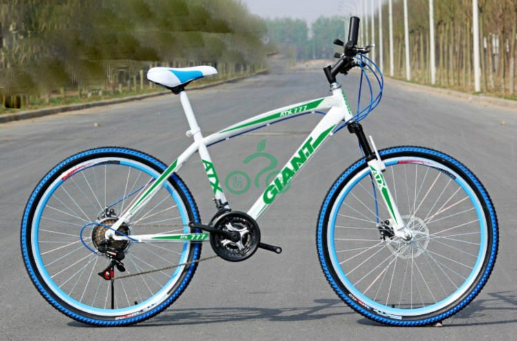 Déco pour vélo - Ref 2281190 Image 12