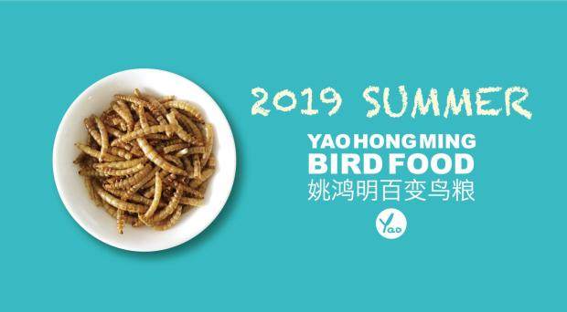 Sterilized breadworm dried beetle bird food bird food thrush Blackbird Starling bird nutrition bird feed bird snack