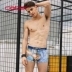 Caber / Cabali phụ nữ tóm tắt cặp vợ chồng gợi cảm modal cotton boxer mid-tăng thoáng khí đồ lót nam Cặp đôi
