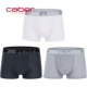 Caber / Cabernet boxer đầu 60 phương thức gợi cảm cá tính thoáng khí 3 bộ ở eo đồ lót nam - Giống cái