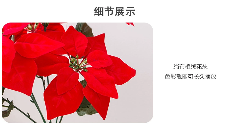 Mô phỏng Trạng nguyên chậu 7 hoa Giáng sinh Giáng sinh Hoa đỏ nhân tạo Hoa phong lan Hoa Giáng sinh Trang trí hoa Trang trí hoa - Hoa nhân tạo / Cây / Trái cây