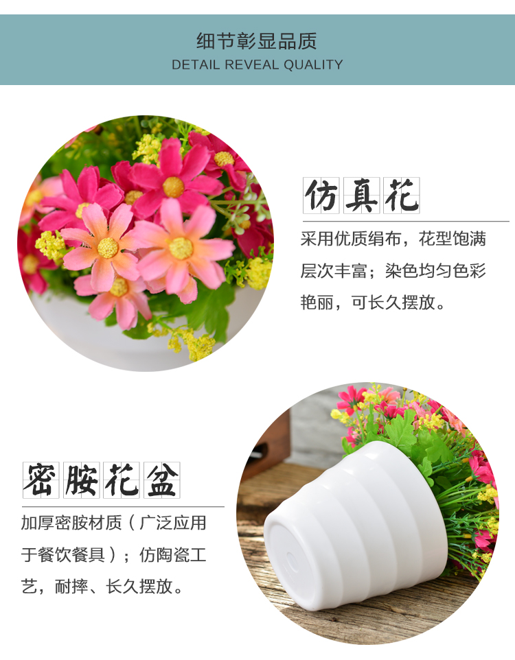 Mô phỏng hoa đặt trang trí nội thất hoa phòng khách nhà phụ kiện đồ nội thất chậu nhựa hoa giả hoa nhảy nhảy trong chậu - Hoa nhân tạo / Cây / Trái cây hoa giả trang trí phòng khách