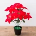 Mô phỏng Trạng nguyên chậu 7 hoa Giáng sinh Giáng sinh Hoa đỏ nhân tạo Hoa phong lan Hoa Giáng sinh Trang trí hoa Trang trí hoa - Hoa nhân tạo / Cây / Trái cây