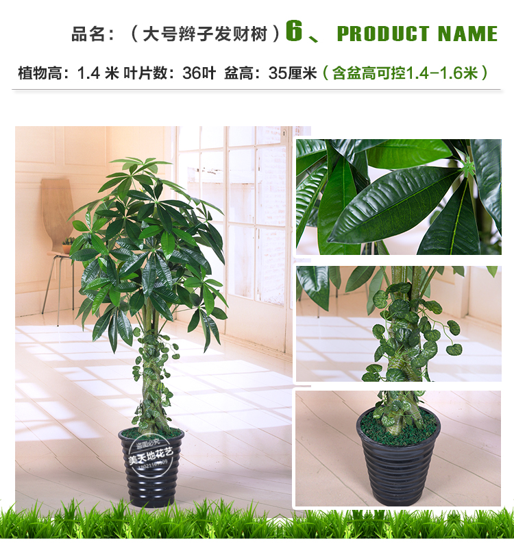 Mô phỏng cây xanh giả cây trong chậu mô phỏng cây tài lộc cây phòng khách sàn cây hoa giả nhỏ giọt Guanyin cây giả xanh - Hoa nhân tạo / Cây / Trái cây hoa hồng giả đẹp