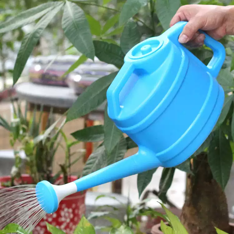加厚灑水壺帶蓋子澆花壺家用淋花壺小噴水壺園藝噴壺塑料長嘴澆水壺-淘