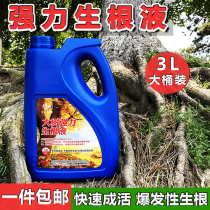 Big tree strong rooting liquid tree quick-acting rooting powder seedling fruit tree seedling flower cutting fast rooting agent