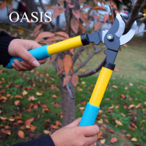 Garden horticultural scissors fruit trees Orchard gardener branch shears pruning shears pruning shears pruning shears pruning shears