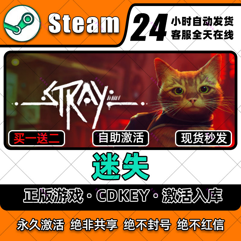 Stray Steam Activation Code Pc Computer Standalone Game Cdkey Full Dlc Official Version in the Library