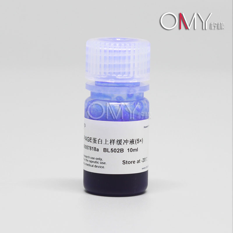 biosharp SDS-PAGE蛋白上样缓冲液(5X) 10ml BL502B
