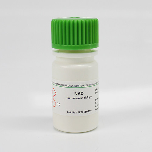 BioFroxx 1113GR001 氧化型辅酶I [NAD] 1g