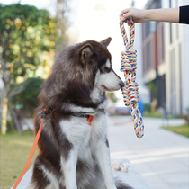 Dog rope knot toy resistant to biting large dog consumes physical physical interaction tug-of-war Large canine lara gold wool side pastoral special