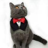 Шарф -шарф Alasamaya Triangle Walm свадьба свадьба свадебная свадьба ласточка хвост собака собака золотая свадьба мао