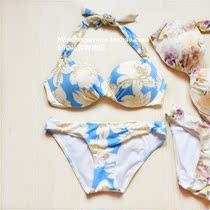 Buzat Garden ~ European and American single large chest steel support soft edging workmanship gathering neck bikini
