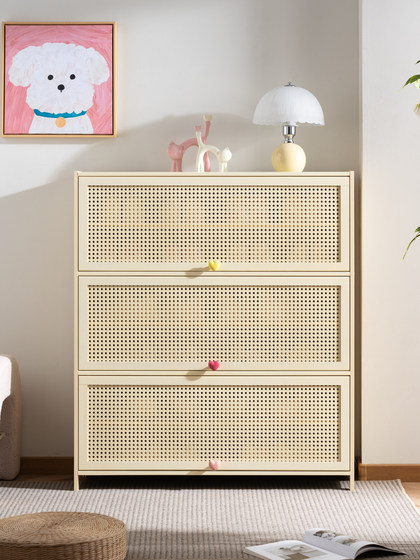 实木入户鞋柜防尘家用门口室内原木奶油风新款2024爆款玄关柜一体