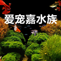 爱宠嘉水族的LOGO