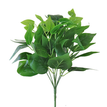 Feuilles simples Feuilles vertes Ole Fleur Agréation Fleurs Fleurs Emulation Petit Bouquet Fleurs de plastique Pour décorer Regroupements Green Plant Green Leaves Fake Grass Décorations