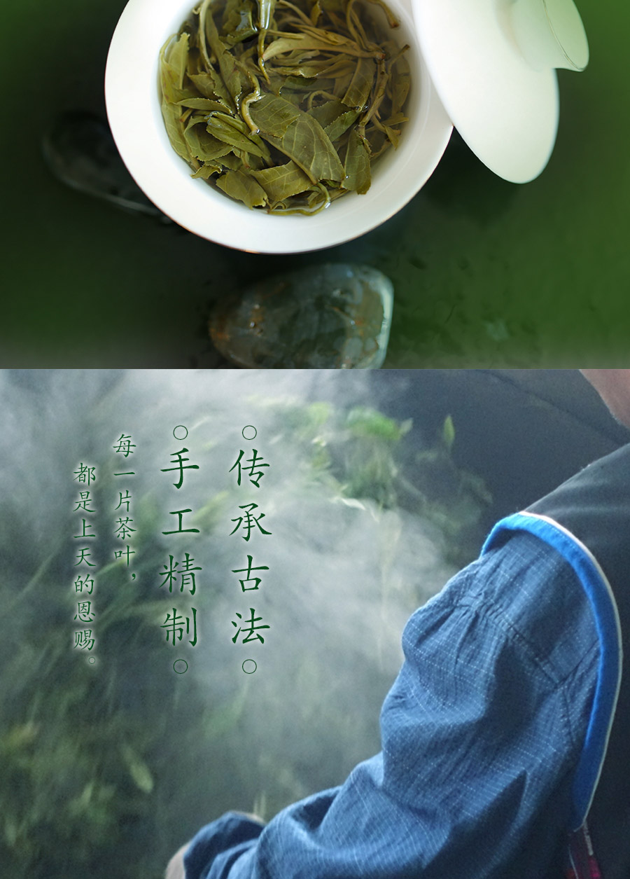 圣木百益  碧螺春 2021新茶明前绿茶 250g 图5