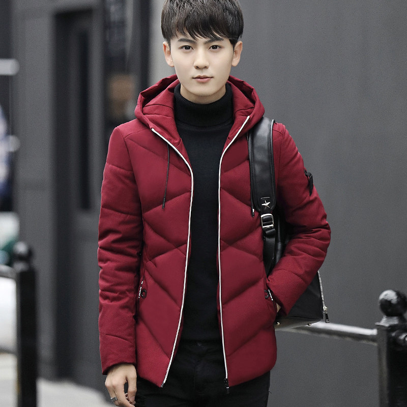 Blouson hiver pour homme - Ref 3112244 Image 4