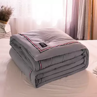 Japanese-style simple quilt quilt core quilt thickened warm double spring and Autumn quilt Air-conditioned quilt Dormitory single student winter quilt