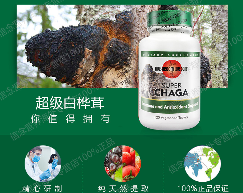 2 chai nấm nhập khẩu Mỹ Sửa chữa insulin Chaga vitamin C sản phẩm đường huyết - Thức ăn bổ sung dinh dưỡng viên uống vitamin