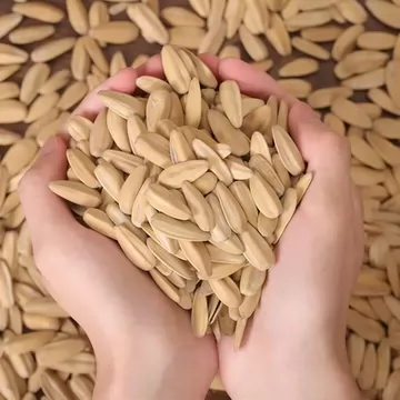 打手瓜子经典五香瓜子470g