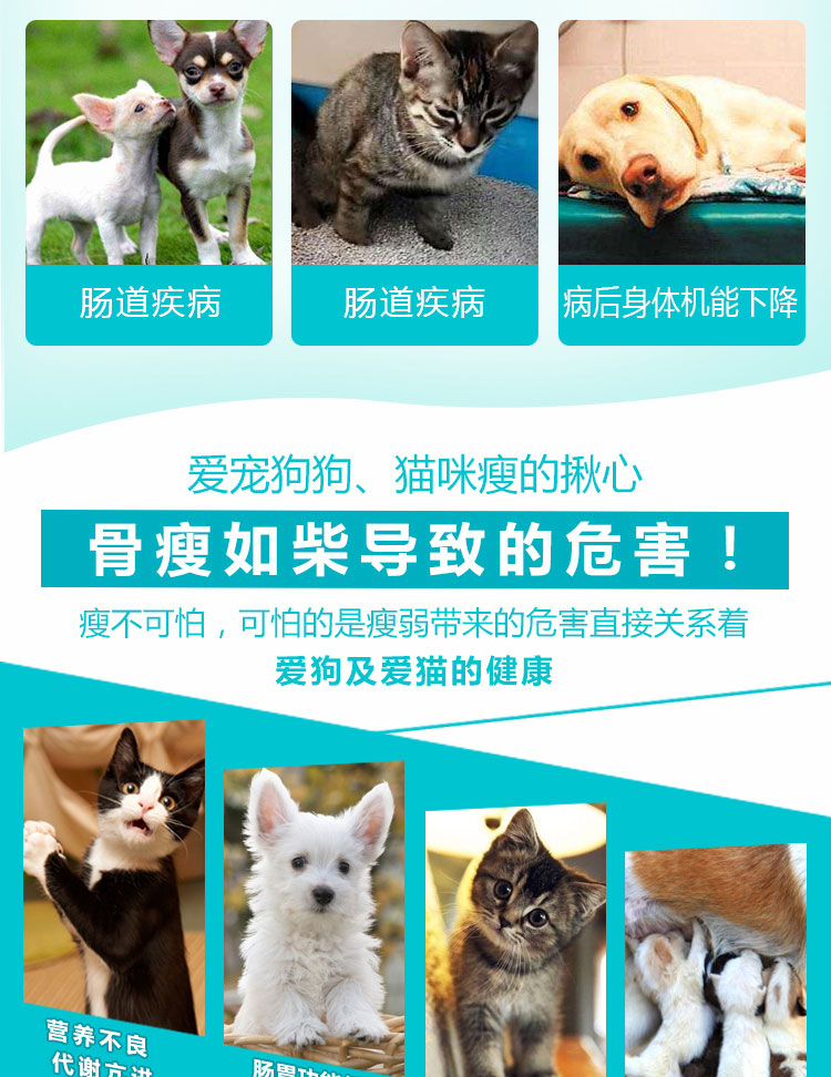 Pu Shikang muốn con chó mèo béo kho báu để điều chỉnh vỗ béo đường tiêu hóa và tăng cường chất béo mèo điều hòa sinh sản thúc đẩy đường tiêu hóa - Cat / Dog Health bổ sung 	sữa cho chó có bầu